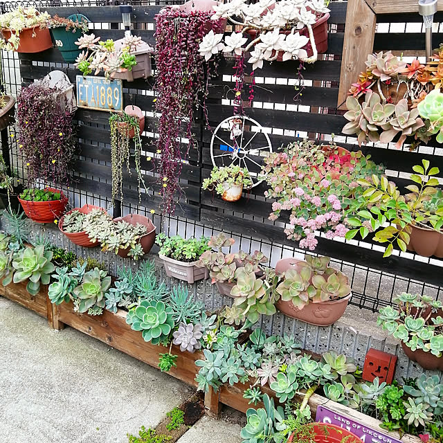 VERANDARJUNさんの実例写真