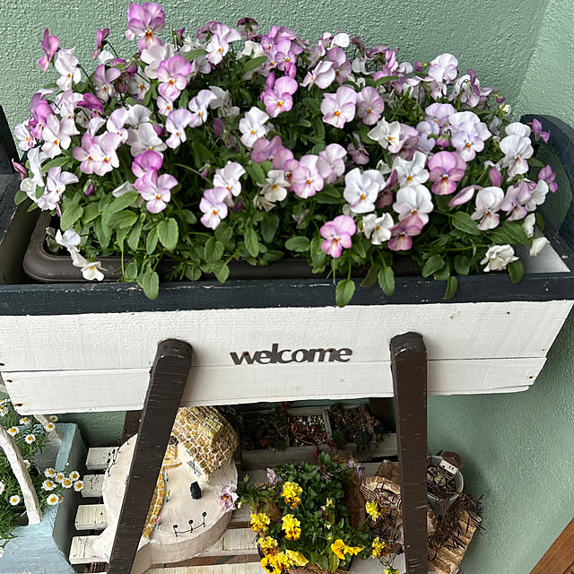 chiechanさんの実例写真