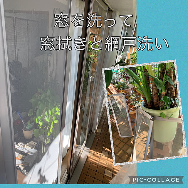 Aqettyさんの実例写真