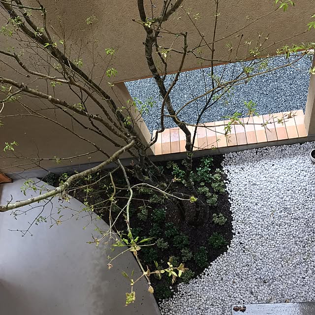 misaeeeさんの実例写真