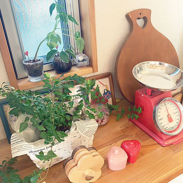 sayuri-i-0903さんの実例写真