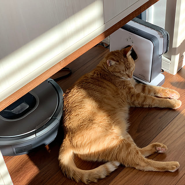 mikeume7さんの実例写真