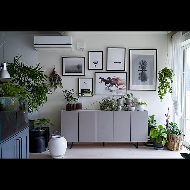 棚/春の模様替え/観葉植物のある暮らし/ナチュラルインテリア/海外インテリア...などのインテリア実例 - 2022-04-10 21:13:43