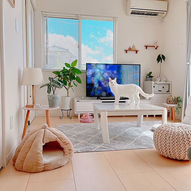 Miyu_さんの部屋