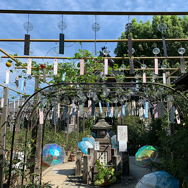 カフェ風/夏/部屋全体のインテリア実例 - 2022-08-22 13:41:33