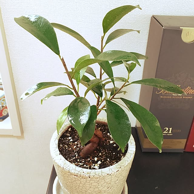 t_harada81さんの実例写真