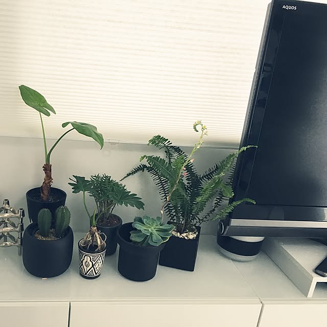 a.organizeさんの実例写真