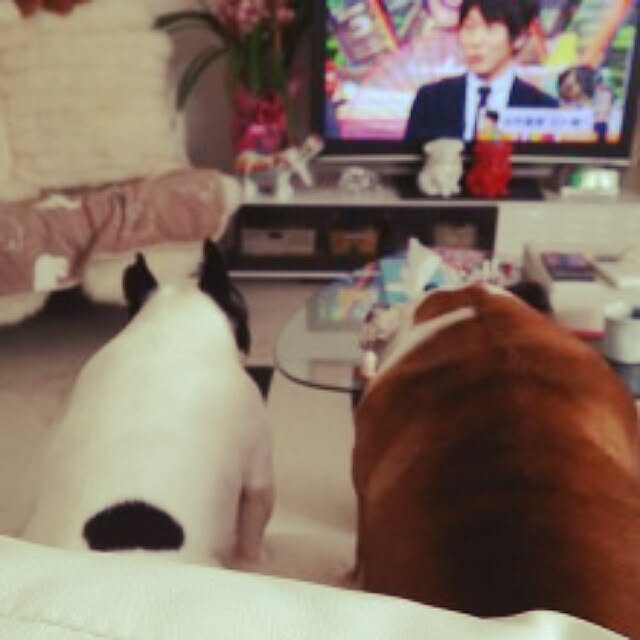 panchobiさんの実例写真