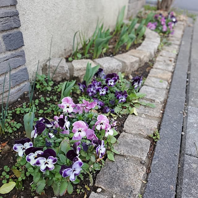 MARIE.color.interiorさんの実例写真