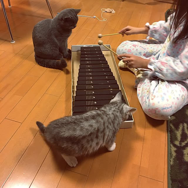 Shojiさんの実例写真