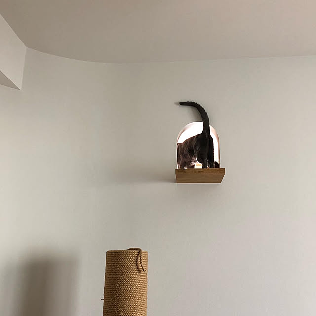 tomokoさんの実例写真