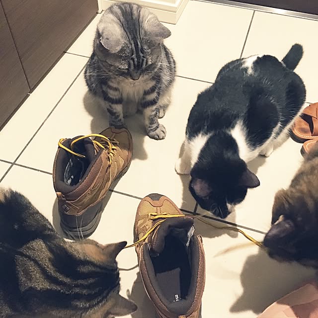 mikomaruさんの実例写真