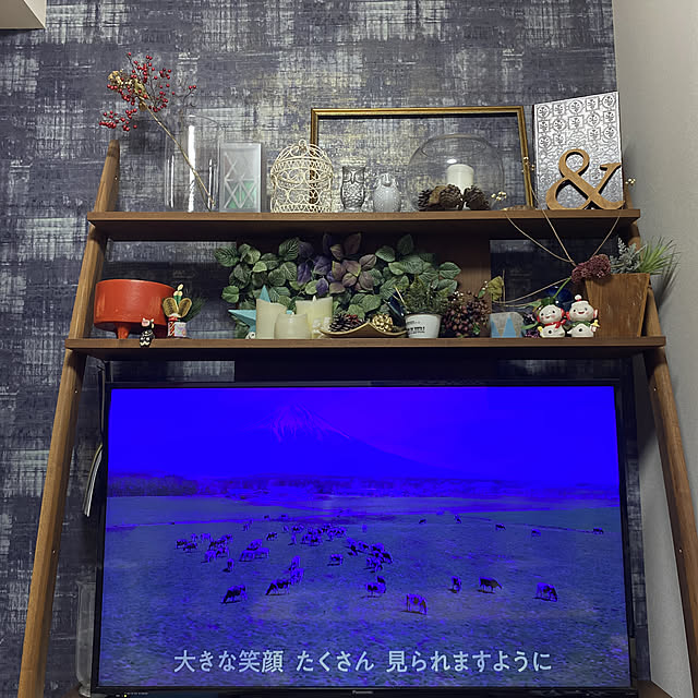 uninekoさんの実例写真