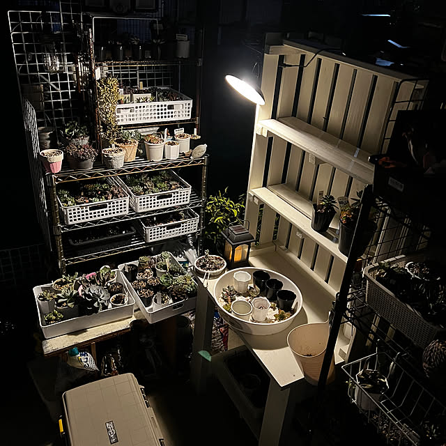 melmelさんの部屋
