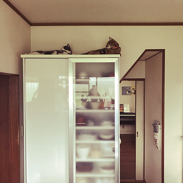 hacchiさんの実例写真