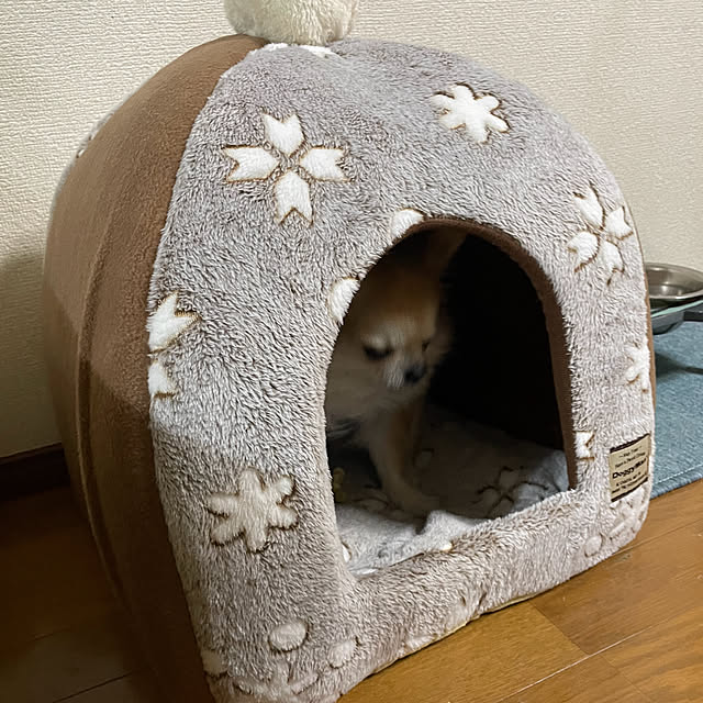 natsumiさんの部屋
