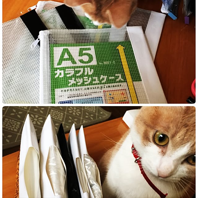 Kohanisutoさんの実例写真