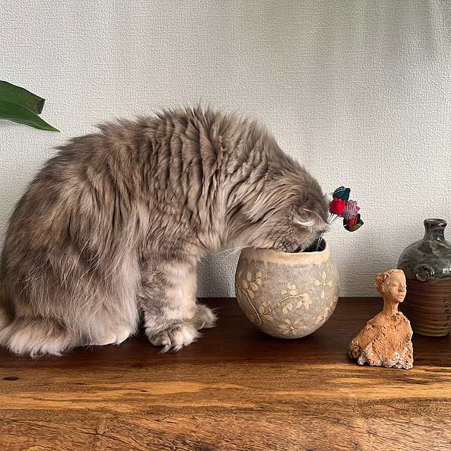 gfさんの部屋