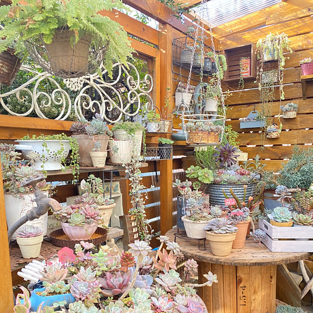 mintteaさんの部屋