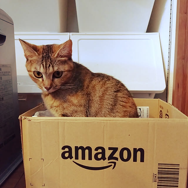 mamekoさんの実例写真