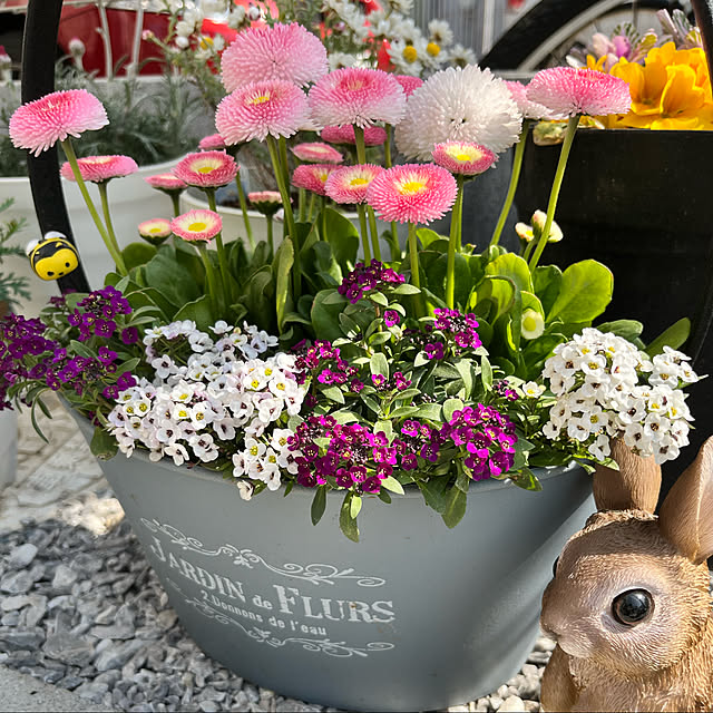 hito_minnie0805さんの実例写真
