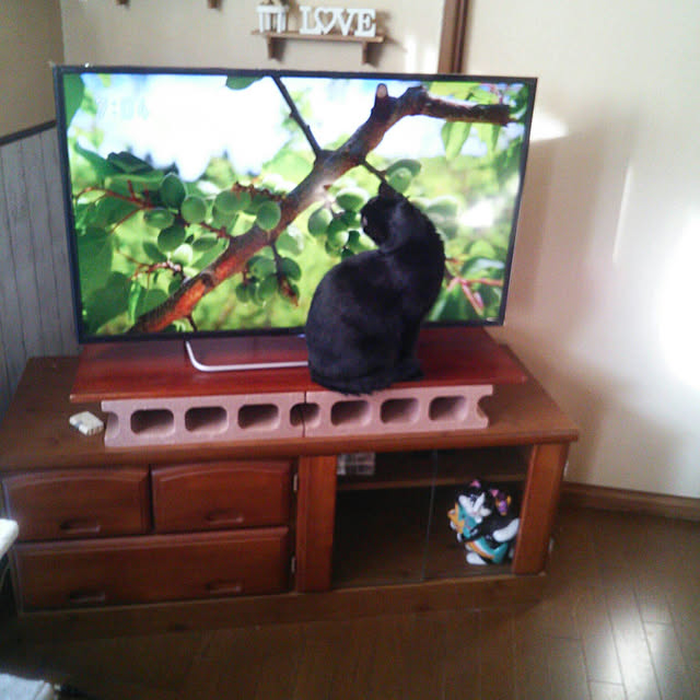 Tomopさんの実例写真