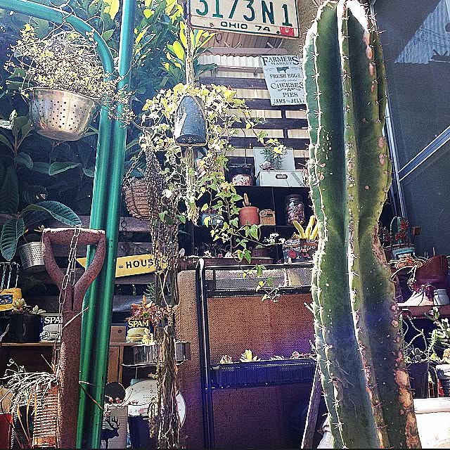 edenさんの実例写真