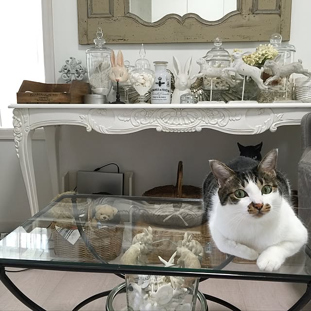 yuchiさんの実例写真