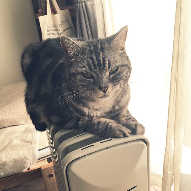 mikomaruさんの実例写真