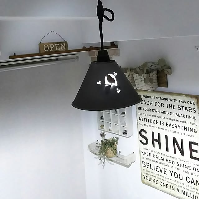 vol.963写真