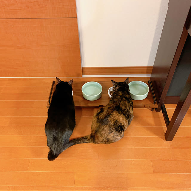 mameazさんの部屋