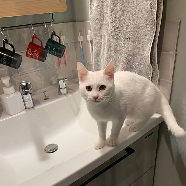 keiさんの実例写真