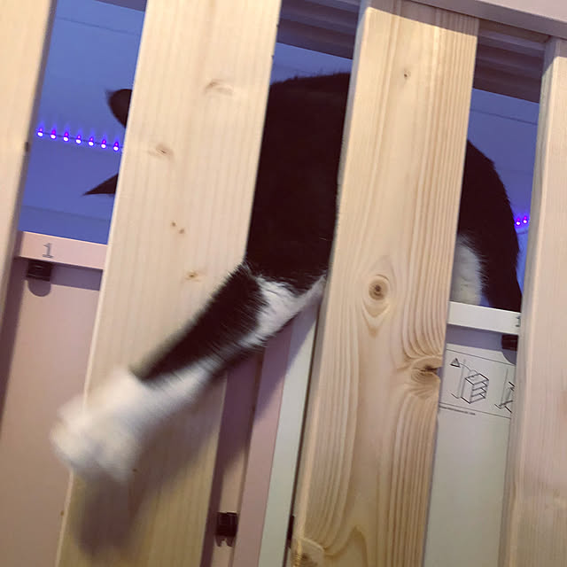 kanaさんの部屋