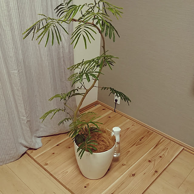 tokonoriさんの実例写真