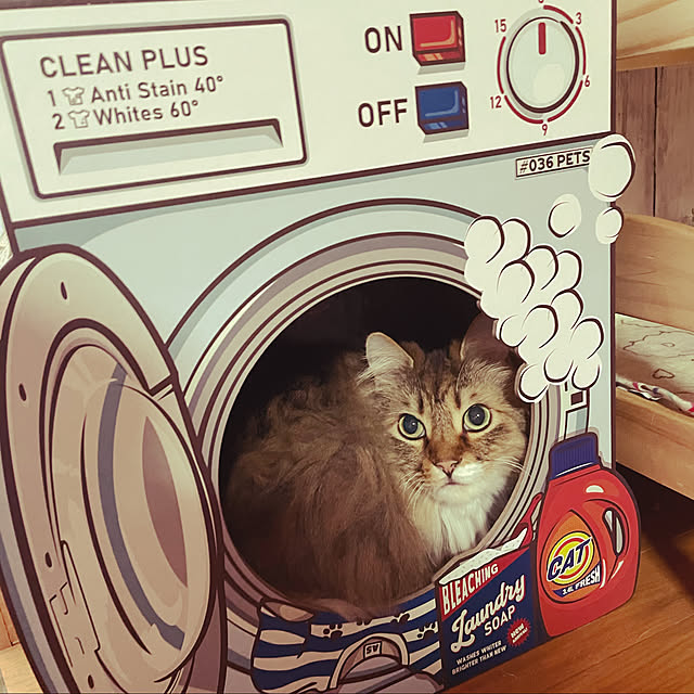 CATさんの実例写真