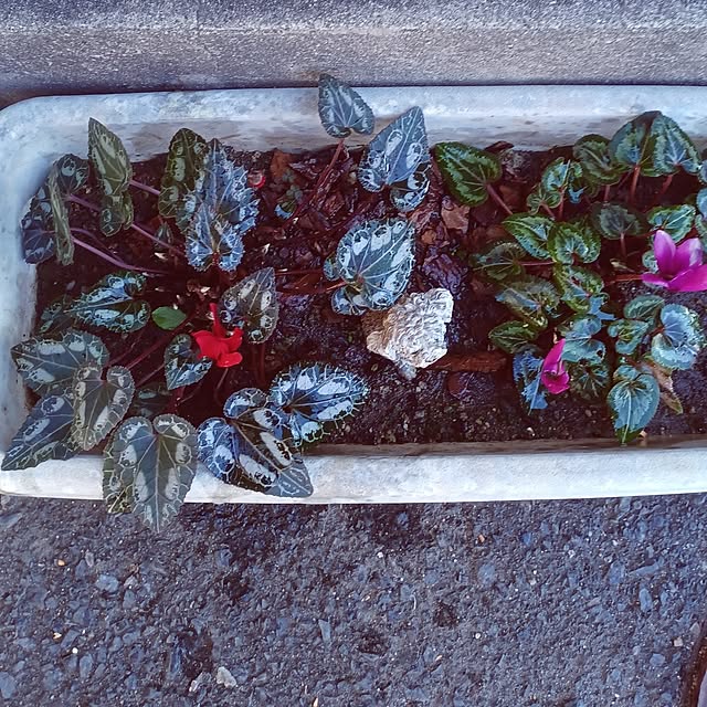 hiro.904さんの部屋