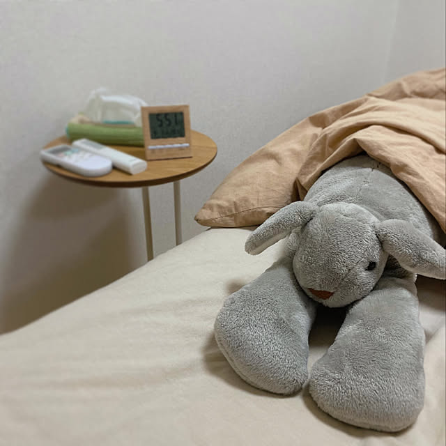 toumiさんの実例写真