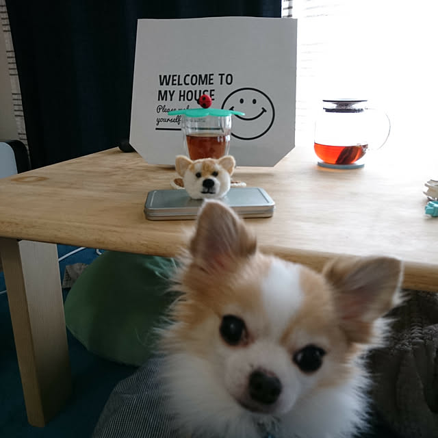 porinさんの実例写真