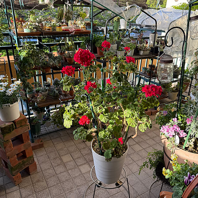 Aqettyさんの実例写真