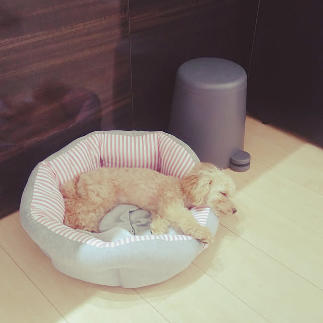 Mikaさんの実例写真