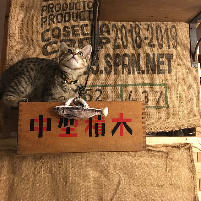 Mさんの実例写真