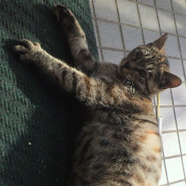 PrePolicさんの実例写真