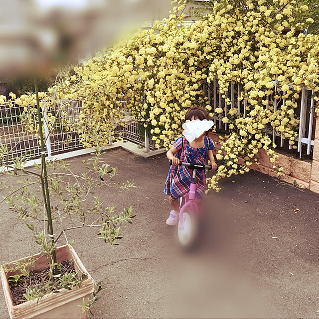 marimoさんの実例写真