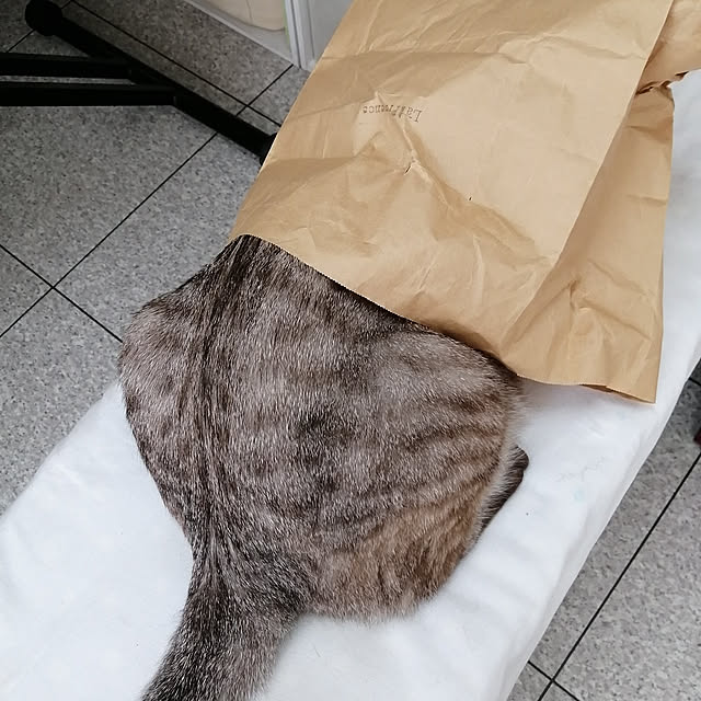 Manaさんの実例写真