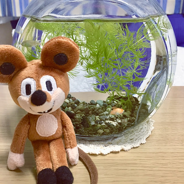 takakoさんの実例写真