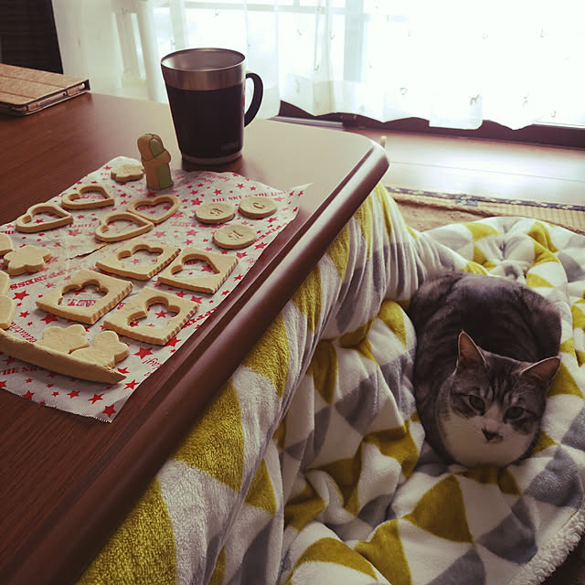 Mikaさんの実例写真
