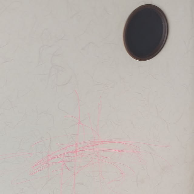 hanaさんの実例写真
