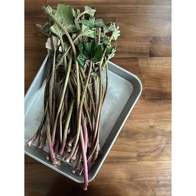 nono.0129さんの部屋