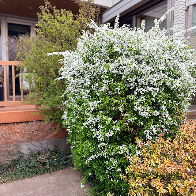 nuruiさんの実例写真