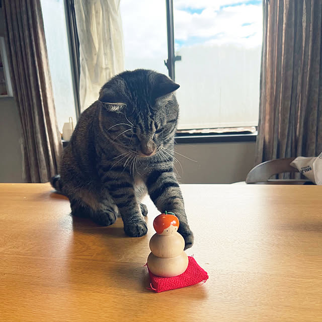 kuzumeganeさんの実例写真